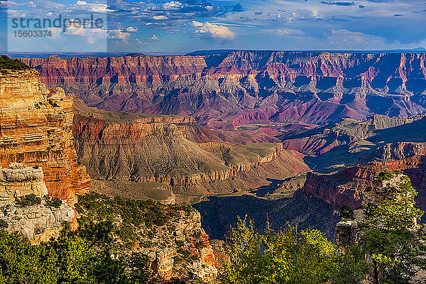 North Rim  Grand Canyon  Grand Canyon National Park; Arizona  Vereinigte Staaten von Amerika