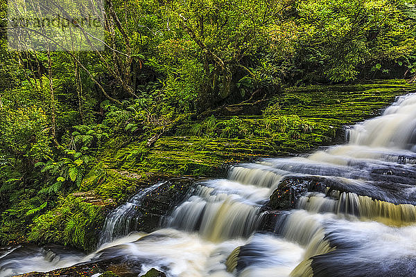 McLean Falls  Catlins Forest Park; Region Otago  Neuseeland