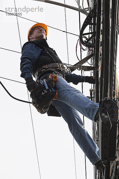 Mitarbeiter der Kommunikationsbranche prüft Kabel an einem Strommast