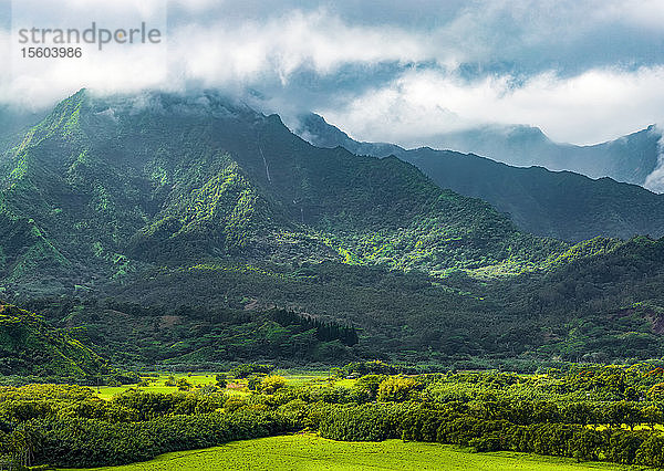 Üppige hawaiianische Landschaft; Hanalei  Kauai  Hawaii  Vereinigte Staaten von Amerika