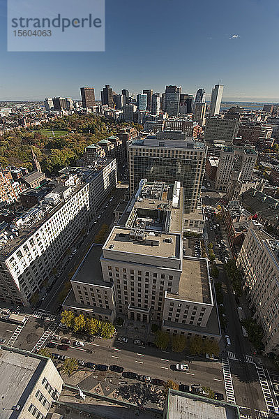 Blick von oben auf das Stadtbild  Boston Common  Boston  Massachusetts  USA
