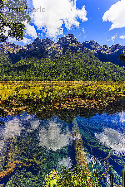 Spiegelungen im ruhigen Wasser der Mirror Lakes; Neuseeland