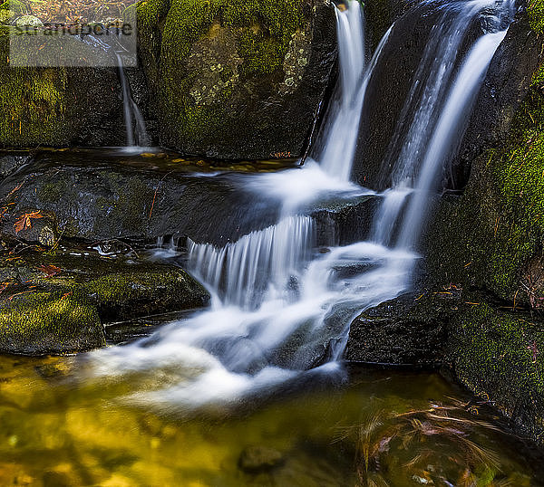 Wasserfälle mit herbstlich gefärbtem Laub am Anderson Creek; Maple Ridge  British Columbia  Kanada