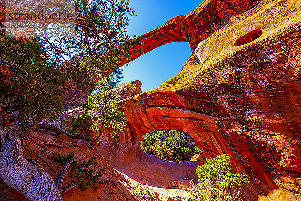 Felsformationen im Arches National Park; Utah  Vereinigte Staaten von Amerika