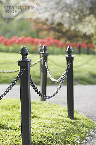 Nahaufnahme eines Geländers in einem Garten