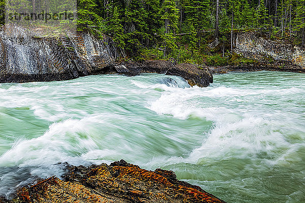 Emerald River  der in den Emerald Lake fließt  und die Natural Bridge  Yoho National Park; British Columbia  Kanada