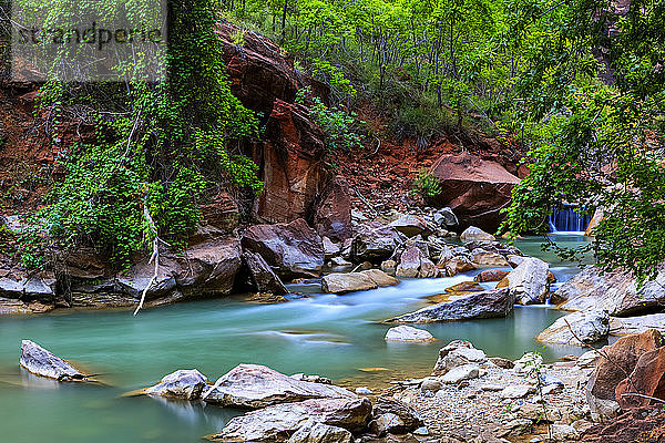 Weinende Wand  Zion National Park; Utah  Vereinigte Staaten von Amerika