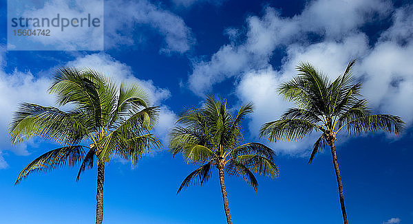 Kamaole One und Two Strände  Kamaole Beach Park; Kihei  Maui  Hawaii  Vereinigte Staaten von Amerika