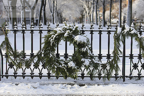 Kranz und Girlande an einem Geländer nach Schneesturm  Commonwealth Avenue Mall  Arlington Street  Boston  Suffolk County  Massachusetts  USA