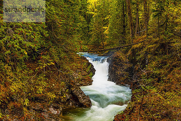 Little Qualicum Falls Provincial Park im Herbst; British Columbia  Kanada