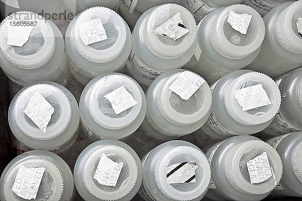 Kunststoffprobenbehälter im Labor  Nahaufnahme