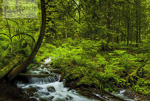 Bridal Veil Falls  Bridal Veil Falls Provincial Park; British Columbia  Kanada