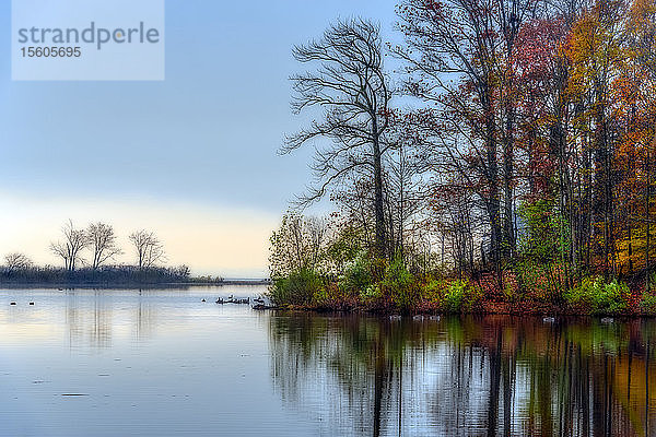 Herbstfarbenes Laub am Wolfe's Pond  Wolfe's Pond Park  Staten Island; New York City  New York  Vereinigte Staaten von Amerika
