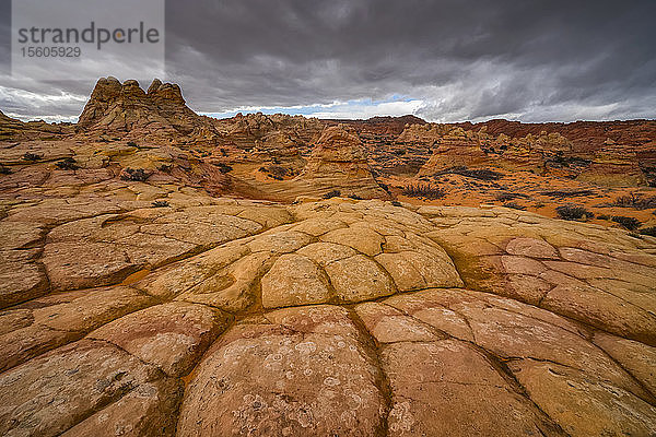 Die erstaunlichen Sandstein- und Felsformationen von South Coyote Butte; Arizona  Vereinigte Staaten von Amerika