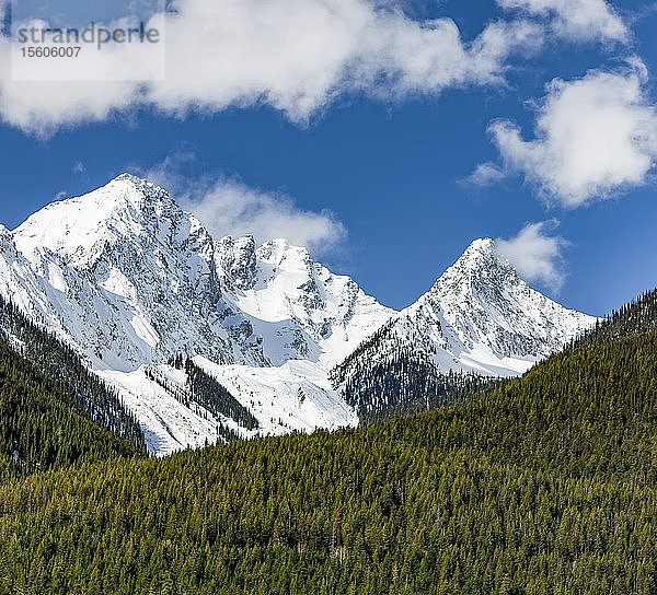 Schneebedeckte Rocky Mountains mit schroffen Gipfeln und einem Wald im Vordergrund; Kanada