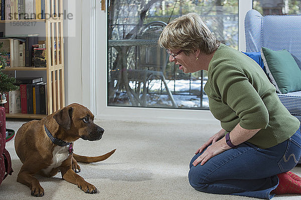 Frau mit Autismus sieht Hund an