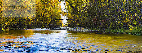 Herbstfarben  die sich in einem ruhigen Mission Creek spiegeln; Kelowna  British Columbia  Kanada