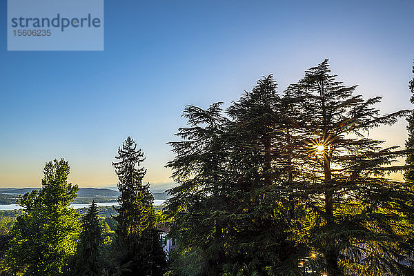 Die Sonne geht an einem blauen Himmel hinter Bäumen auf; Varese  Lombardei  Italien