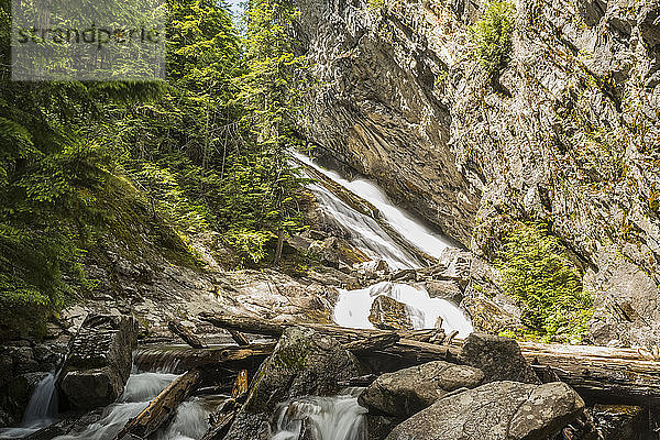 Basisfälle der Granite Falls im Sommer  am Granite Creek  einer Quelle des Priest Lake  Kaniksu National Forest; Idaho  Vereinigte Staaten von Amerika