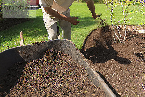 Landschaftsgärtner  der einen Garten mit einer Schubkarre mulcht