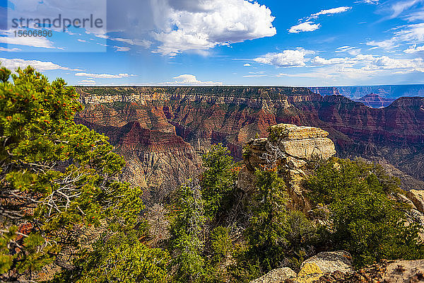 North Rim  Grand Canyon  Grand Canyon National Park; Arizona  Vereinigte Staaten von Amerika