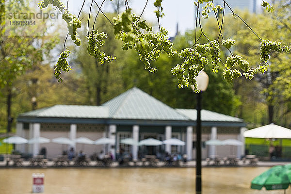 Pavillon am Froschteich in Boston Common  Boston  Massachusetts  USA