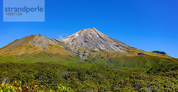 Vulkan mit üppigem Blattwerk und strahlend blauem Himmel; Neuseeland