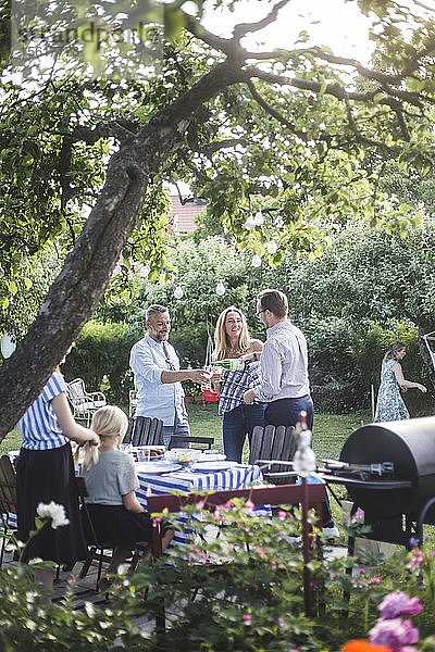 Freunde trinken bei Gartenparty zusammen  während die Frau der Schwester die Haare flechtet