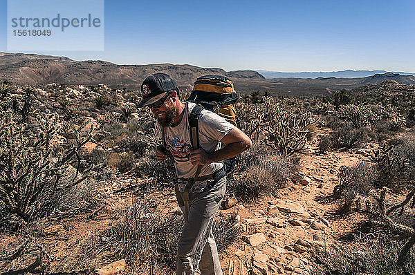 Blick auf einen abenteuerlustigen jungen Mann beim Wandern in der Wüste  Red Rock National Park  Nevada  USA