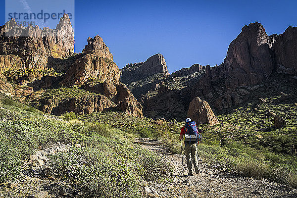 Ein männlicher Wanderer beim Wandern in den Superstition Mountains im Lost Dutchman State Park  Arizona