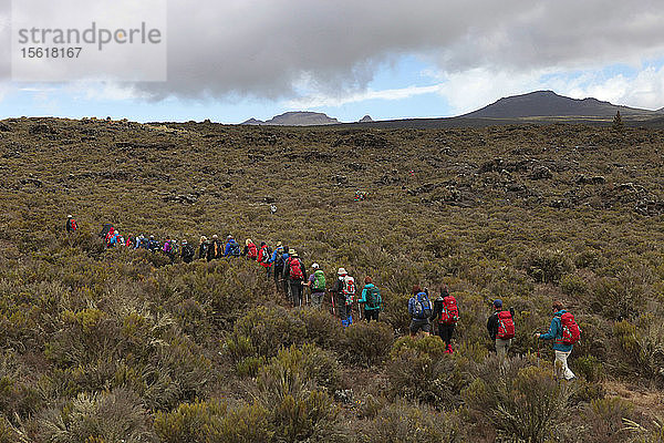 Wanderer wandern durch ein Grasland in der Nähe des Kilimandscharo. Der Kilimandscharo mit seinen drei Vulkankegeln Kibo  Mawenzi und Shira ist ein ruhender Vulkanberg in Tansania. Er ist der höchste Berg Afrikas und erhebt sich etwa 4.877 Meter von seiner Basis auf 5.895 Meter über dem Meeresspiegel. Der Berg ist Teil des Kilimandscharo-Nationalparks und ein beliebtes Ziel für Bergsteiger. Der Berg war wegen seiner schrumpfenden Gletscher Gegenstand zahlreicher wissenschaftlicher Studien. Tansania ist ein ostafrikanisches Land  das für seine großen Wildnisgebiete bekannt ist. Dazu gehören die Ebenen des Serengeti-Nationalparks  ein Safari-Mekka  das von den Big Five (Elefant  Löwe  Leopard  Büffel  Nashorn) bevölkert wird  und der Kilimandscharo-Nationalpark  in dem der höchste Berg Afrikas steht.