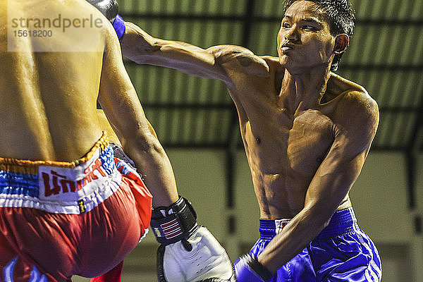 Männliche Thaiboxer beim Kickboxen im Fitnessstudio