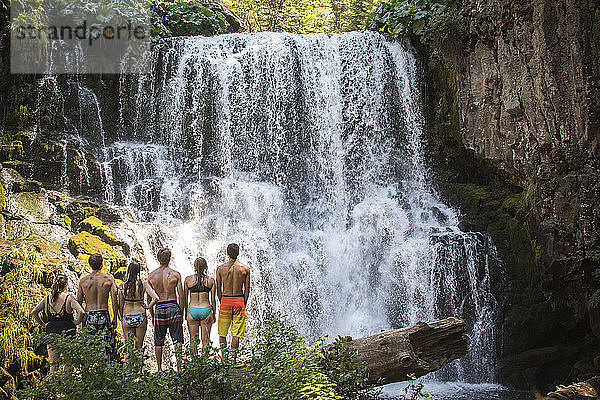 Rückansicht einer Gruppe junger Leute  die vor einem Wasserfall stehen  ï¾ McCloudï¾ River  Kalifornien  USA