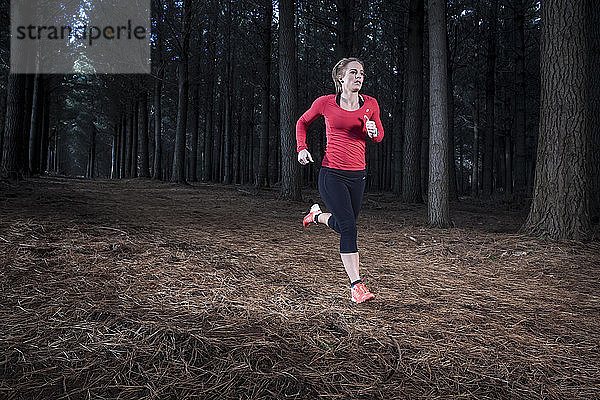 Eine Sportlerin läuft auf einem Pfad durch eine Kiefernplantage im Nordwesten Tasmaniens.
