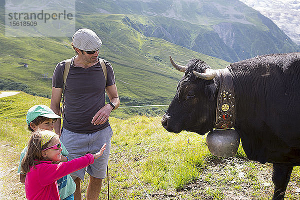 Familie betrachtet eine Kuh in den französischen Alpen mit einem Mädchen  das die Hand ausstreckt  Chamonix  Haute-Savoie  Frankreich