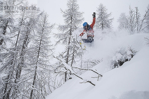 Freerider packt sein Snowboard und genießt den frischen Pulverschnee in einem Wald in Chamonix