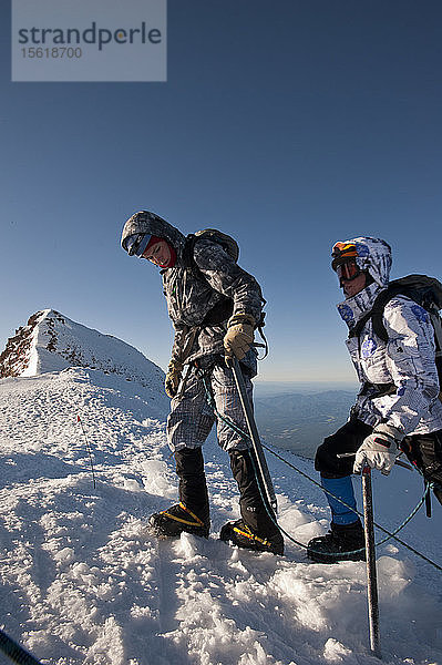 Jungen im Alter von 13 bis 17 Jahren von der Venturing Crew 191 aus Glendora  Kalifornien  setzen ein Jahr Training in die Praxis um  als sie versuchen  den Gipfel des Mount Shasta über die Avalanche Gulch-Route im Shasta Trinity National Forest in Nordkalifornien zu erreichen. Der Mount Shasta ist ein massiver  vergletscherter Vulkan und mit 14.179 Fuß der zweithöchste Gipfel in der Cascade Range und der fünfthöchste in Kalifornien; er ist mit keinem anderen Gipfel verbunden und erhebt sich abrupt 10.000 Fuß über das umliegende Gelände. Die Pfadfinder der Venturing Crew 191 (Venturing Crews sind ein Zweig der Pfadfinder  der sich auf abenteuerliche Aktivitäten konzentriert) hatten sich ein Jahr lang auf die Besteigung des Mount Shasta vorbereitet. Dies war ihre erste Erfahrung mit dem Klettern in steilem Schnee und sie wurden bei der Besteigung von Führern der SWS Mountain Guides unterstützt. Josh und Jeremy Kolbach von der Venturing-Crew 191 erklimmen nach einem langen  anstrengenden Aufstieg durch die Avalanche Gulch einen Grat in der frühen Morgensonne - sie und der Rest ihrer Crew befinden sich nun auf halbem Weg vom Hochlager zum Gipfel des Mount Shasta im Shasta Trinity National Forest  Kalifornien. Sie begannen ihren Aufstieg sehr früh in der Morgendämmerung  um sicherzustellen  dass sie den Gipfel noch vor dem Mittag erreichen konnten.