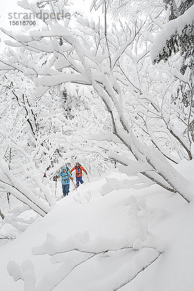 Zwei Skitourengeher (ein Mann und eine Frau in farbenfroher Kleidung) sind auf einer Skitour zum Tokachidake  einem Berg in Kamifurano auf Hokkaido  Japan. Die drei sind mit einer dicken Schneeschicht bedeckt.
