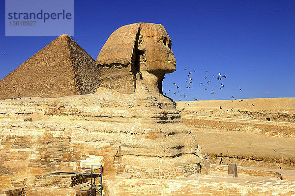 Die Cheops-Pyramide und die Große Sphinx von Gizeh  Ägypten