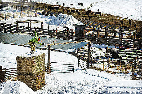 Ein Snowboarder presst zwei Heuballen auf der Ranch seiner Familie in Wyoming mit der Nase.