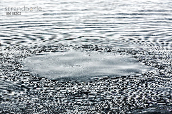 Ein Walfußabdruck  links nach dem Auftauchen von Buckelwalen (Megaptera novaeangliae)  die in der Wilhelmena Bay auf der Antarktischen Halbinsel Krill fressen. Die Wale wandern im Sommer hierher  um sich von Krill zu ernähren. Die Krillbestände sind um über 50 % zurückgegangen. Sie ernähren sich von Algen  die auf der Unterseite des Meereises wachsen. Wenn das Meereis schmilzt  gehen sowohl Algen als auch Krill zurück.