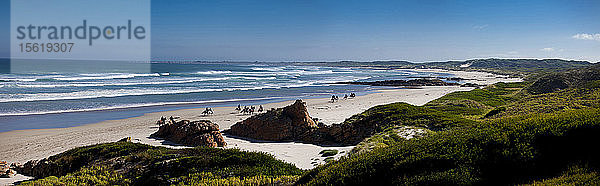 Panoramablick mit Menschen auf Pferden in der Ferne am Strand von Post Office Rock  Marrawah  Tasmanien  Australien