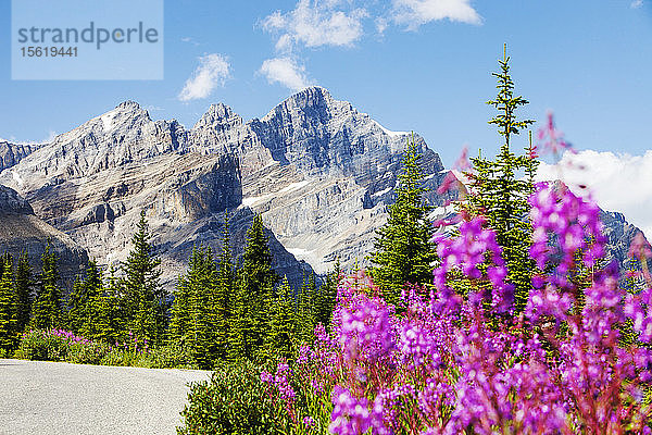 Landschaft oberhalb des atemberaubend schönen Peyto Lake in den kanadischen Rockies.