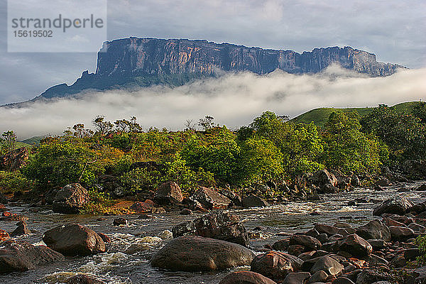 Südwestliche Felswand vom Aufstiegsvorsprung  Berg Roraima (Cerro Roraima)  Tepuis  Estado Bolivar  Venezuela  Südamerika