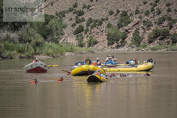 Menschen  die während einer Rafting-Tour auf dem Green River schwimmen und sich in Flößen aufhalten  Abschnitt Desolation/Gray Canyon  Utah  USA