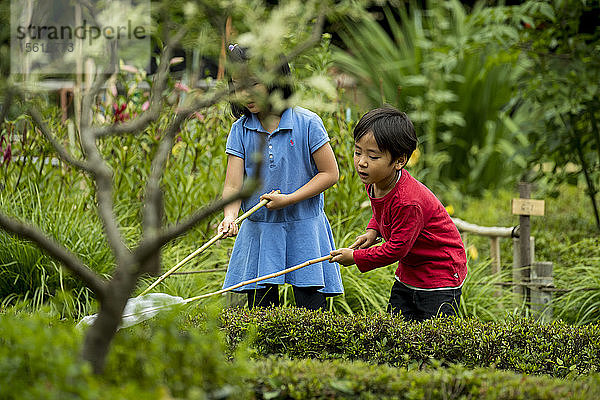 Junge und Mädchen spielen im Park und fangen Schmetterlinge mit Schmetterlingsnetzen  Tokio  Tokio  Japan