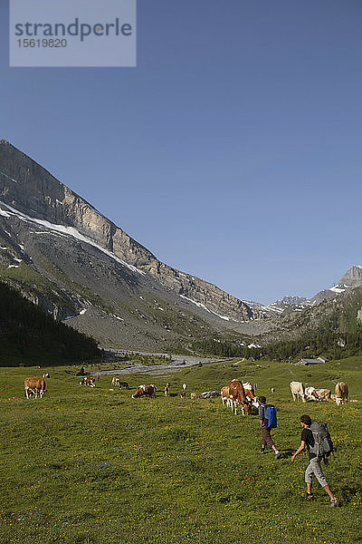 Basejumper wandern im Anflug durch ein fruchtbares Tal in den Schweizer Alpen.