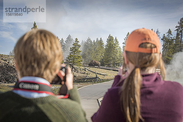 Zwei Frauen fotografieren einen Bison  der durch ein Geysirfeld wandert.