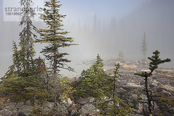 Nebel  O'Hara-See  Yoho-Nationalpark  Kanada