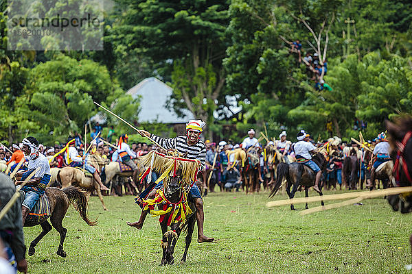 Männer reiten auf Pferden und kämpfen mit Speeren beim Pasola-Festival  Insel Sumba  Indonesien